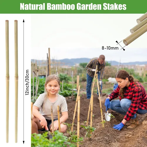 Miniatura 2 de Suclain Juego de 30 estacas de bambú para plantas trepadoras, estacas de bambú resistentes para tomates, frijoles, flores y plantas en maceta