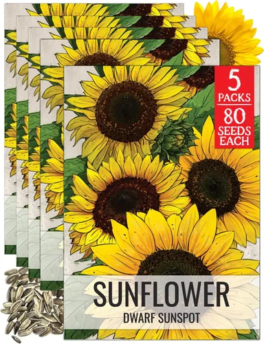 Miniatura 71 de Seed Needs Semillas de girasol para plantar girasoles de manchas solares enanas, semillas de flores de corte anual de polinización abierta