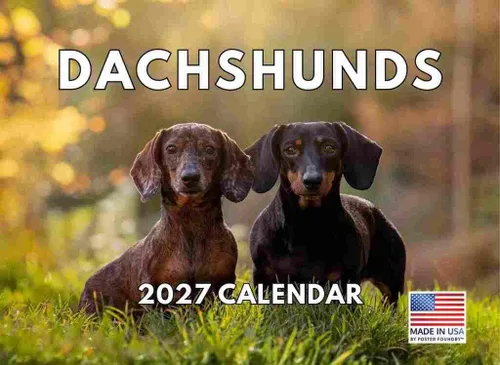 Miniatura 197 de Calendario de pared mensual 2025 Great Dane de 12 meses, fabricado en Estados Unidos