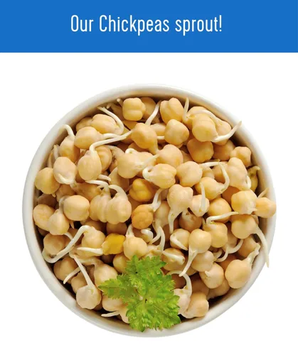 Miniatura 7 de Palouse Brand Garbanzos certificados sin residuos de glifosato Frijoles de Garbanzo 1 libra Cultivado familiar en el estado de Washington
