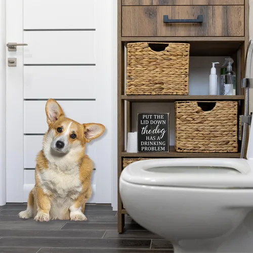 Miniatura 3 de Pigort Letreros con texto en inglés «Put The Lid Down» – Divertida decoración de baño para perro, decoración para perros, decoración del hogar