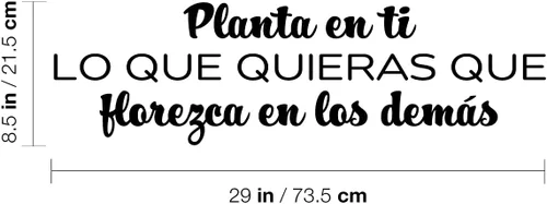 Miniatura 3 de Calcomanía de vinilo para pared, Planta En Ti Lo Que Quieras Que Florezca/Plant in You What You Want to Bloom - 8.5 x 29 pulgadas - Etiqueta