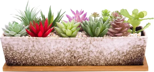 Miniatura 9 de ARTKETTY Macetas de suculentas - Macetas grandes para suculentas con drenaje, maceta de bonsái rectangular larga de 12 pulgadas con bandeja