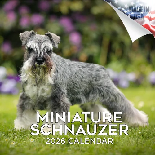 Miniatura 220 de Calendario 2025 2026 de cachorros Cocker Spaniel - Calendario mensual de pared de raza de perro - 12" x 24" abierto - Papel grueso sin sangrado