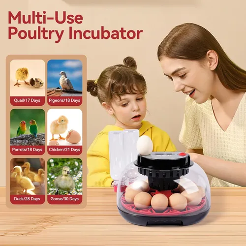 Miniatura 7 de Incubadoras de 12 huevos para incubar huevos, incubadora de huevos de pollo con giro automático de huevos y control de temperatura y humedad, tapa
