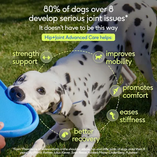 Miniatura 2 de Native Pet Advanced Care - Suplemento para cadera y articulaciones para perros - Apoya articulaciones, cartílago, músculos y tiene propiedades