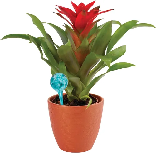 Miniatura 4 de Wyndham Amigos de las plantas de interior con herramientas de riego