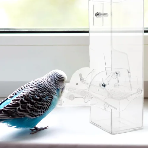 Miniatura 9 de POPETPOP Comedero para periquitos sin ensuciar, comedero automático para pájaros para jaula, estación acrílica para guacamayos grises africanos