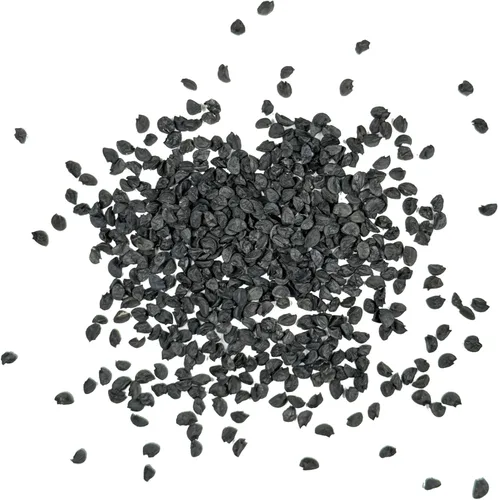 Miniatura 6 de Seed Needs Semillas de cebolla para plantar cebollas de día corto rojo burdeos, semillas de verduras sin tratar y sin OMG para plantar un jardín