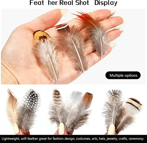 Miniatura 4 de 200 plumas naturales de 10 estilos surtidos de plumas para atrapasueños, manualidades, decoración de bricolaje