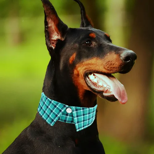 Miniatura 6 de Collar de algodón para perro con corbatín, cómodo y ajustable con bonito diseño de solapa, para mascotas pequeñas, medianas y grandes