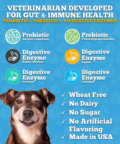 Miniatura 4 de Well Loved Probióticos para perros, probióticos para perros, fabricados en Estados Unidos, desarrollados por veterinarios para la salud intestinal