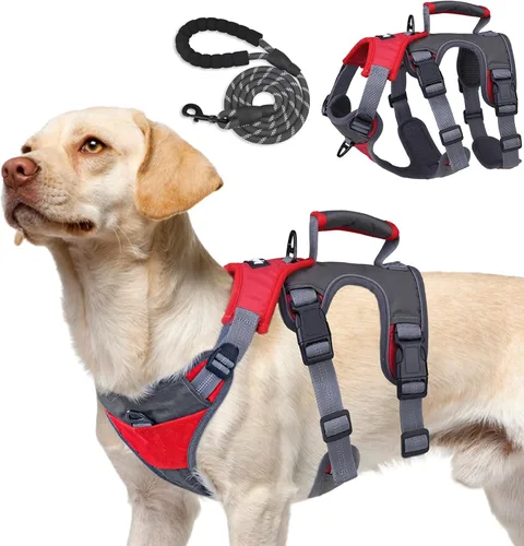 PUPTECK Juego de arnés y correa para perro a prueba de escape, chaleco reflectante sin tirones con asa de elevación, arnés para mascotas de fácil