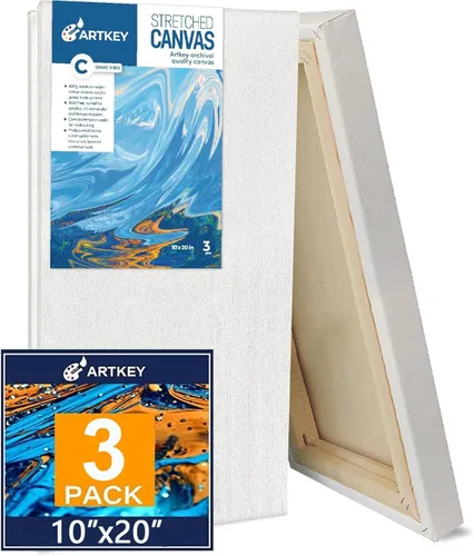 Lienzos estirados envueltos para galería para pintar de 10 x 20 pulgadas, paquete de 3, 16 onzas, lienzo en blanco 100% algodón con triple