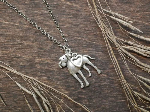 Miniatura 56 de Collar de raza de perro Grupo A