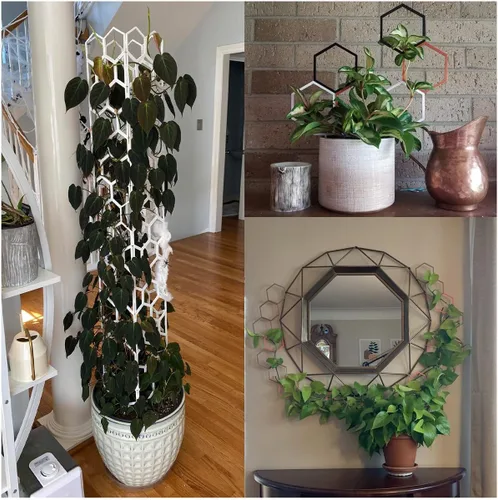Miniatura 2 de Super Trellis Enrejado hexagonal para plantas trepadoras al aire libre – Enrejado apilable de 14 pulgadas de alto para plantas en macetas