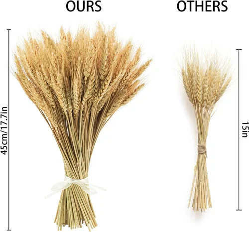 Miniatura 6 de Tallos de trigo seco de 17.7 pulgadas, 100 tallos de flores secas 100% trigo natural para el hogar, cocina, oficina, arreglo floral, mesa de boda