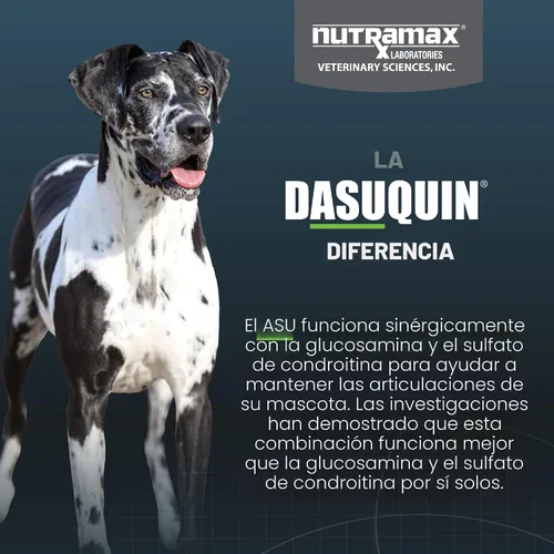 Miniatura 6 de Nutramax Dasuquin para perros grandes, suplemento para la salud de las articulaciones, contiene glucosamina para perros, además de condroitina, ASU