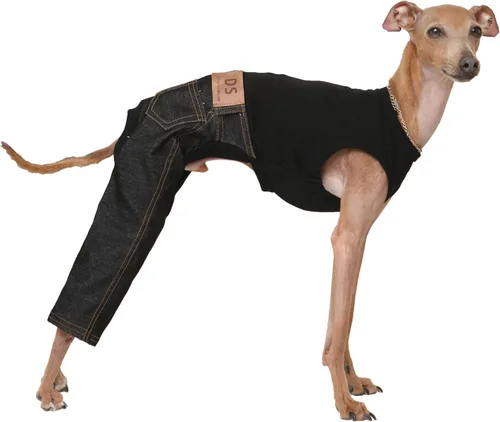 Miniatura 53 de D Doggy Star - Suéter de galgo italiano de cuello de tortuga, conjunto de mono de vellón cálido, ropa de Whippet para perro (XL, azul marino Pkt)