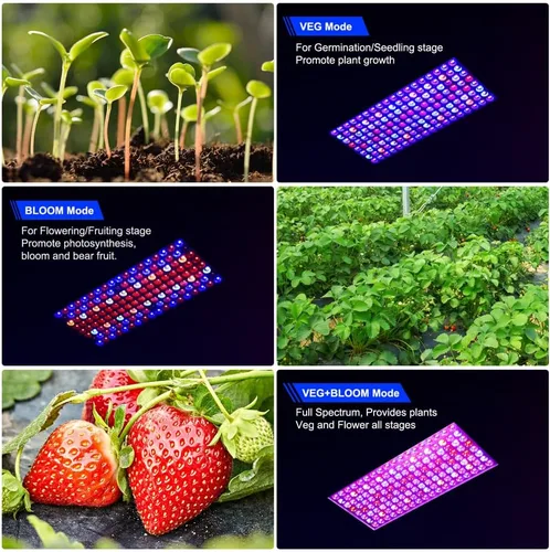 Miniatura 2 de Luces de Cultivo LED BW1000 Mejoradas 2024 con Chips Dobles de Espectro Completo para Invernadero y Plantas de Interior, Crecimiento Vegetativo