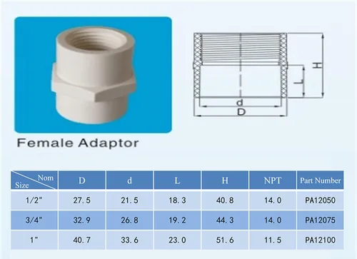 Miniatura 7 de Rainbow Dream Adaptador hembra de PVC de 1 pulgada (enchufe x rosca hembra) - 10 unidades, color blanco