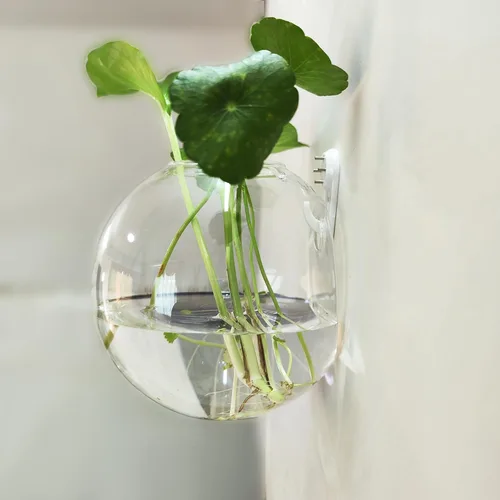 Miniatura 4 de Paquete de 6 jarrones colgantes de pared, estación de propagación de macetas de vidrio, terrario, 4.7 pulgadas para plantas de interior, decoración