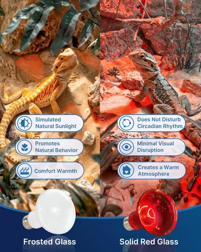 Miniatura 5 de FLSNT Paquete de 2 bombillas de lámpara de calor para reptiles, 75 W para anfibios, dragón barbudo, lagarto, tortuga, gecko