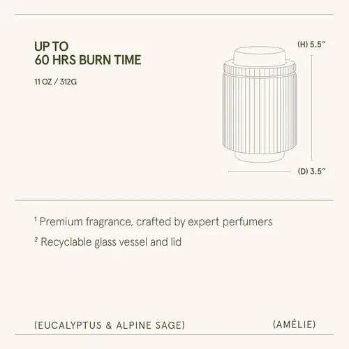 Miniatura 7 de LA JOLIE MUSE Vela perfumada de eucalipto y romero - vela de aromaterapia para relajación, cera de soja natural, velas en frasco de vidrio