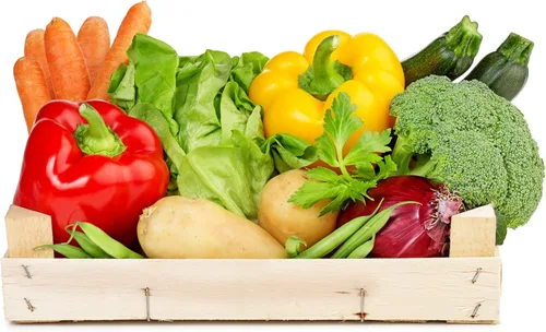 Miniatura 4 de Augason Farms Semillas de Jardín de Vegetales 13 Variedad 1 lb No. 10 Lata