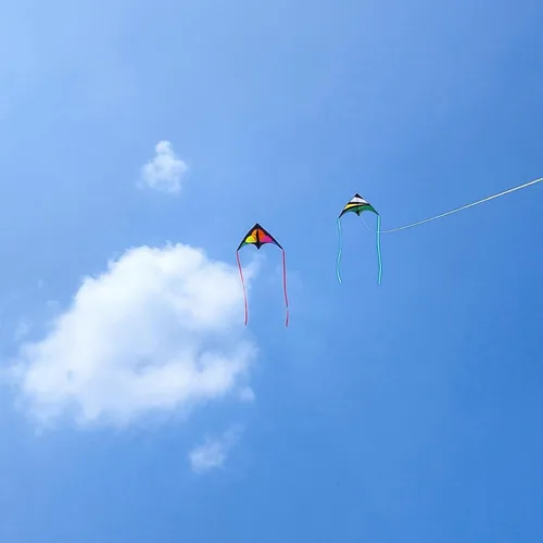 Miniatura 5 de Large Rainbow Delta Kite for Kids & Adults,Single Line Beach Kite for Kids Ages 4-8 & 8-12,Easy to Fly for Toddlers and Beginners