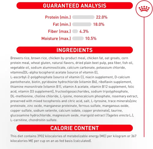 Miniatura 11 de Royal Canin Breed Health Nutrition Shih Tzu Adulto Alimento Seco para Perros, Bolsa de 2.5 lb
