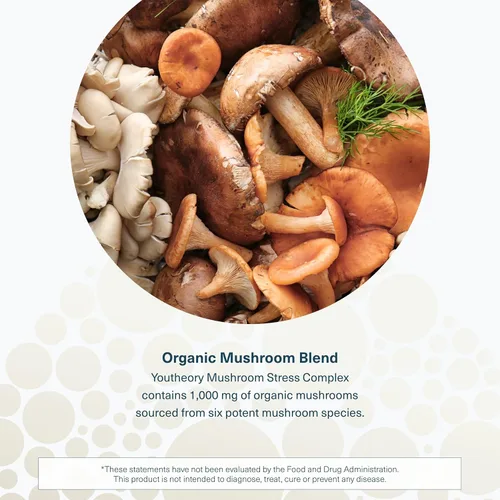 Miniatura 5 de Youtheory Complejo inmunológico de hongos - 60 cápsulas veganas (suministro para 30 días) - Suplemento de apoyo inmunológico* - Mezcla orgánica