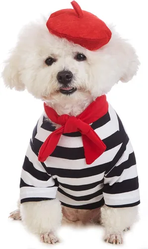 Disfraz de artista para perro con sombrero divertido, ropa para mascotas, camisas para perros pequeños, camiseta de verano para cachorros (S) negro