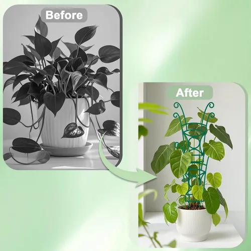 Miniatura 5 de Paquete de 4 enrejados apilables para plantas trepadoras, enrejado de jardín para interiores y exteriores, soporte para plantas de hiedra, hoya