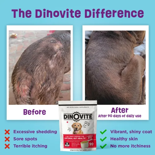 Miniatura 3 de Dinovite Probióticos para perros, polvo probiótico para alimentos para perros medianos (18-45 libras), salud digestiva diaria y apoyo de la piel