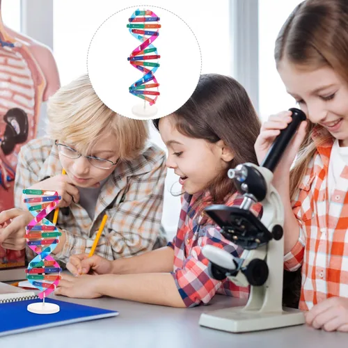 Miniatura 9 de NUOBESTY Kit de modelo de ADN, modelo de estructura de doble hélice, 13 pulgadas para ensamblar ayuda docente de biología con soporte