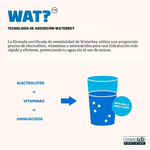Miniatura 6 de Waterboy Hidratación de entrenamiento Paquetes de electrolitos en polvo de 2,960 mg sin azúcar L-glutamina + vitaminas Sin azúcar, todo