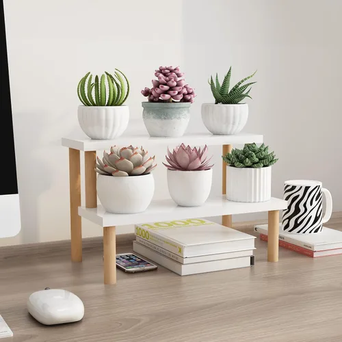 Pequeño soporte para plantas de interior con escalera, estante de escritorio, 2 niveles, soporte para flores en el alféizar de la ventana, soporte