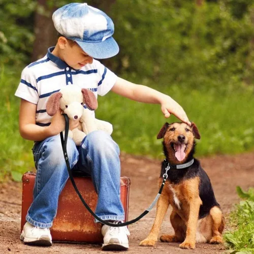 Miniatura 4 de Conjunto de Collar y Correa para Mascotas, Bonito y Deslumbrante de Ante Suave con Diamantes de Imitación de Cristal, Collar y Correa para Gatos