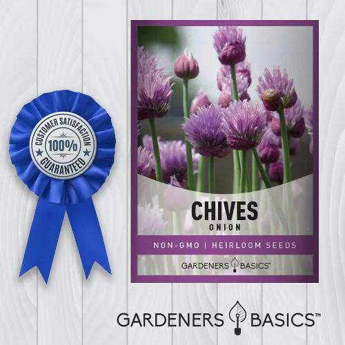 Miniatura 5 de Las semillas de cebollino para plantar son una reliquia, variedad de hierbas sin OMG, semillas de hierbas de cebolla común, ideales para jardinería