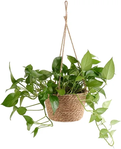 Miniatura 8 de WYSRJ - Maceta colgante de cuerda de yute de 8 pulgadas, cesta tejida para plantas, macramé, soporte para plantas, cestas de almacenamiento