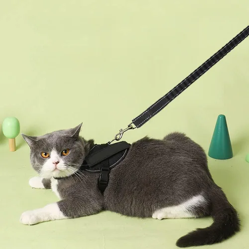 Miniatura 7 de Correa elástica reflectante de 5 a 7 pies, sin tirones para absorción de impactos, correa elástica de nailon para perros pequeños y medianos/gatos