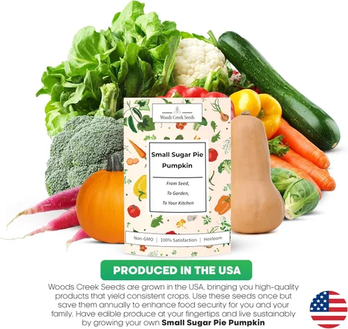 Miniatura 7 de Woods Creek Seeds: Semillas de calabaza pequeñas de tarta de azúcar para plantar, más de 40 semillas de calabaza tradicionales sin OMG para plantar