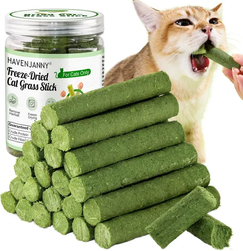 Miniatura 10 de Palillo de dentición de hierba para gatos, palo de hierba de gato enlatado para gatos de interior, gatos trata alivio de bolas de pelo y limpieza