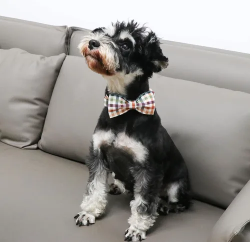 Miniatura 4 de Collar de perro de algodón con lazo floral a cuadros de Unique Style Paws, collar de perro colorido con lazo para perros pequeños, medianos y Plaid