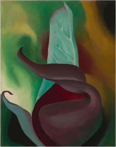 Skunk Cabbage by Georgia O'Keeffe American Abstract Art - Oil on canvas Painting - Floral Art Decor & Gift for Art Enthusiasts (Unframed Print