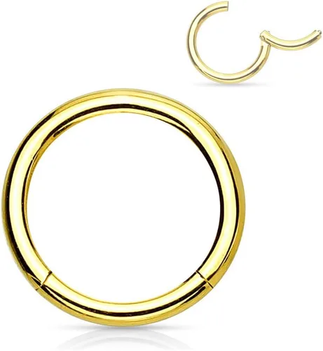 Miniatura 73 de Forbidden Body Jewelry - Piercing para la nariz de acero quirúrgico 316L con bisagra, 14G, 16G, 18G, diámetro de 15/64, 5/16, 25/64, 15/32 pulgadas