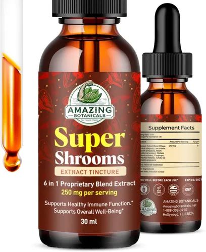 Tónico orgánico Super Shrooms 6 en 1 para el bienestar de hongos – 250 mg por porción de Chaga, melena de león, Reishi, Shiitake, Cordyceps, cola de