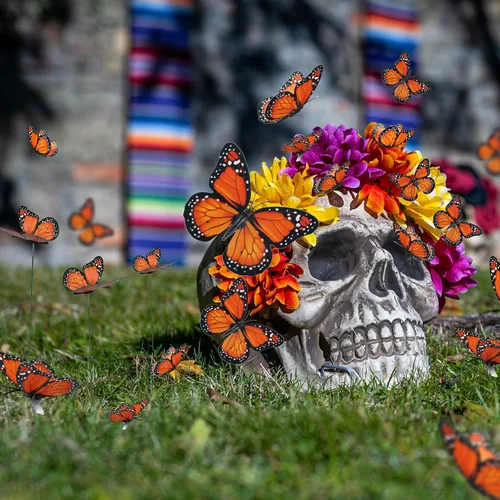 Miniatura 2 de Tcevily 144 decoraciones de mariposa monarca – 72 estacas, 36 pinzas para el pelo de mariposa, 36 calcomanías de pared para suministros de fiesta