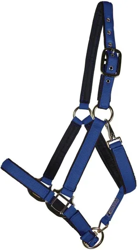 Dura-Tech Cabestro de caballo de nailon totalmente acolchado | Cabestro para caballo diseñado para evitar rozaduras | Corona y bordillo de caballo